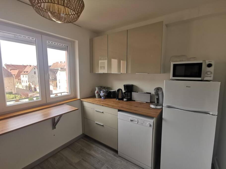 Logement Colmar Centre Avec Parking Exteriör bild